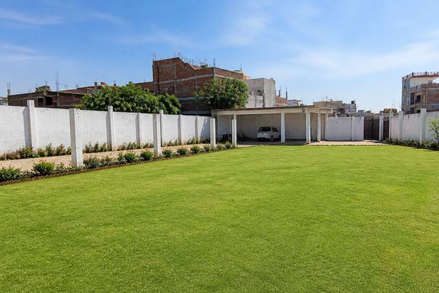 Lawn area