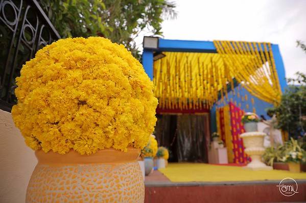 HALDI DECOR