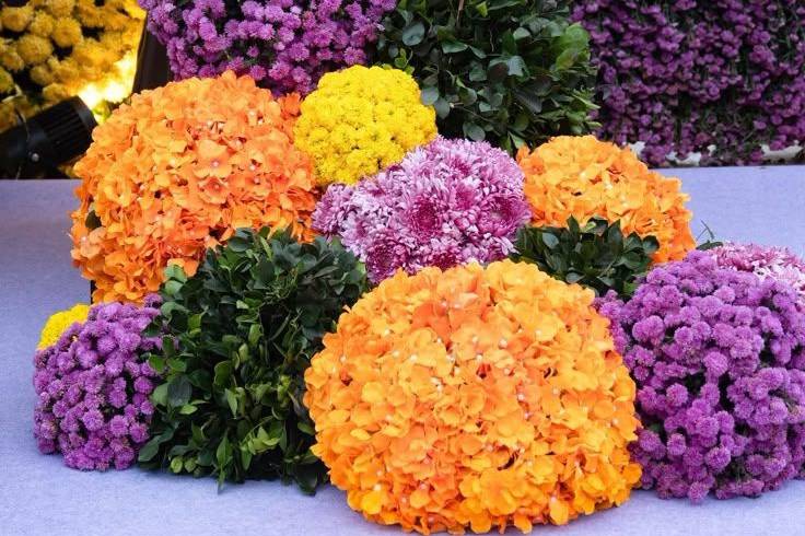 Marigold decor