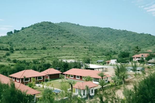 Lawn area