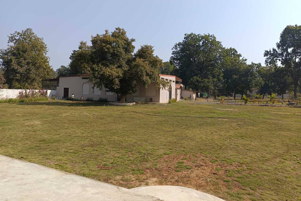 Lawn area