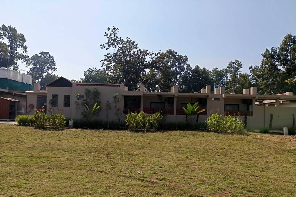Lawn area