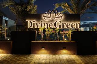 Divine Green Party Plot