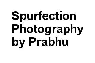 Spurfection Photography by Prabhu