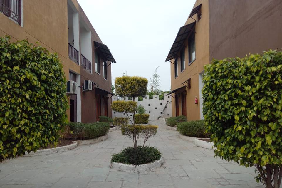 Lawn area