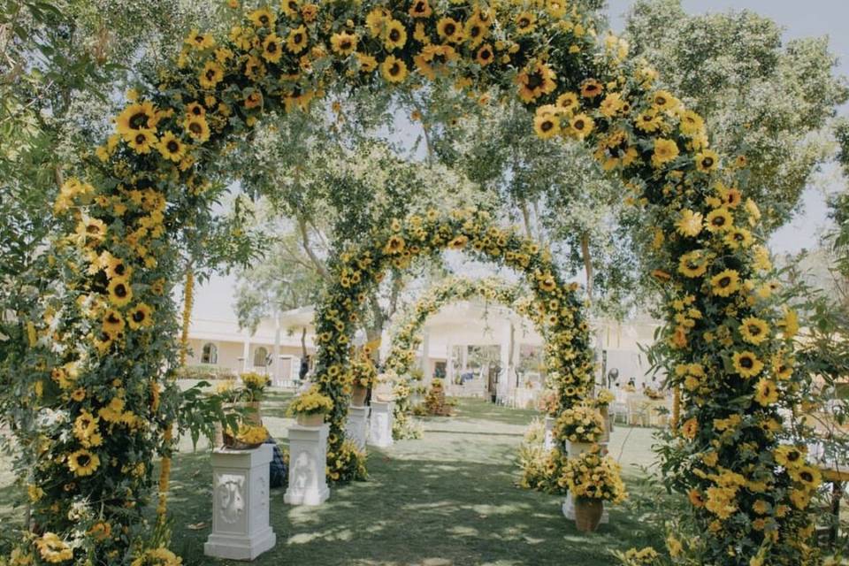 Haldi Entry