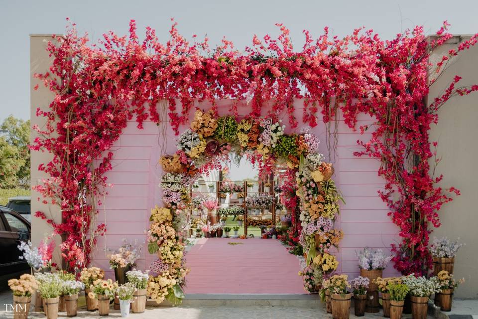 Carnival entry