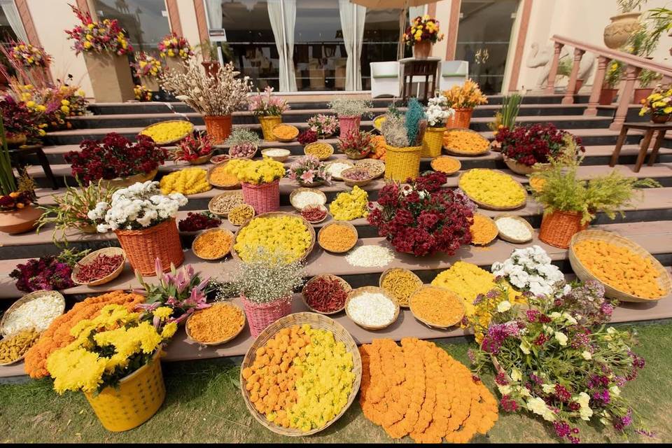 Rang de Haldi