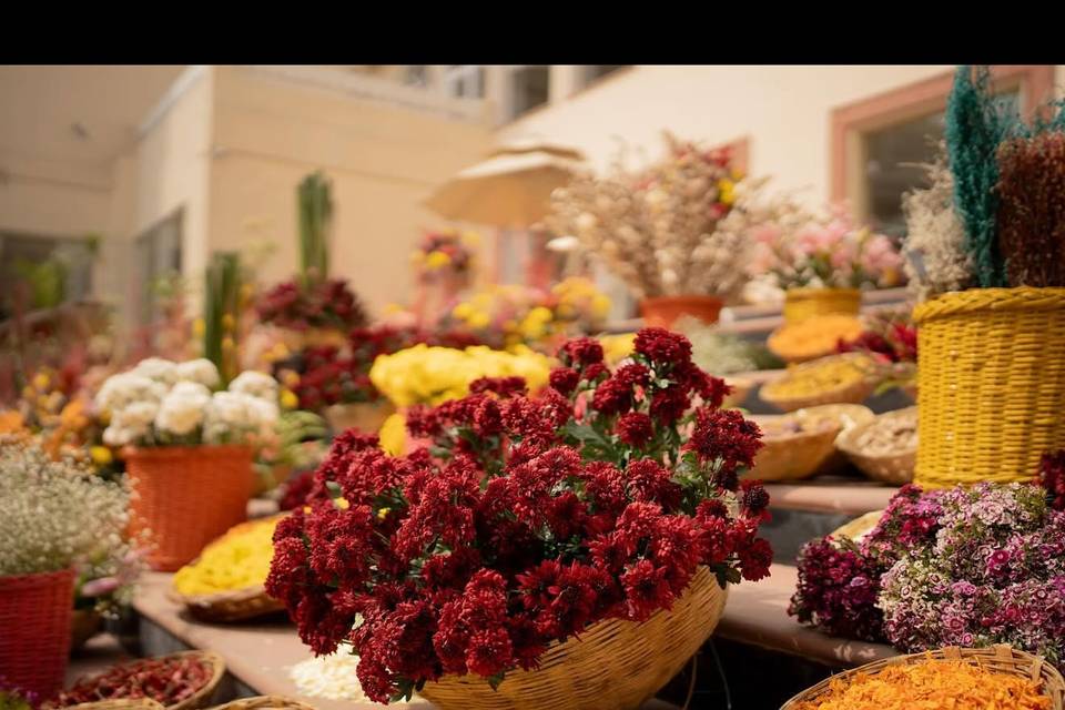 Haldi Props