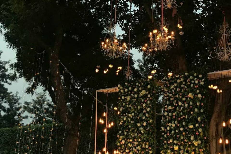 lights
