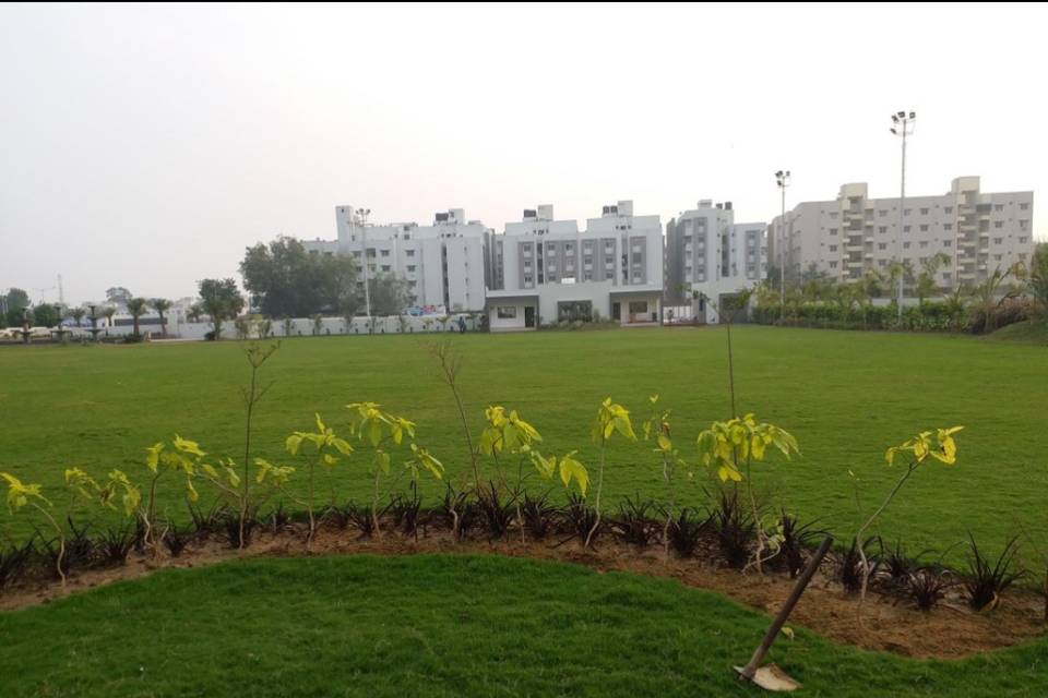 SB Farm, Naroda