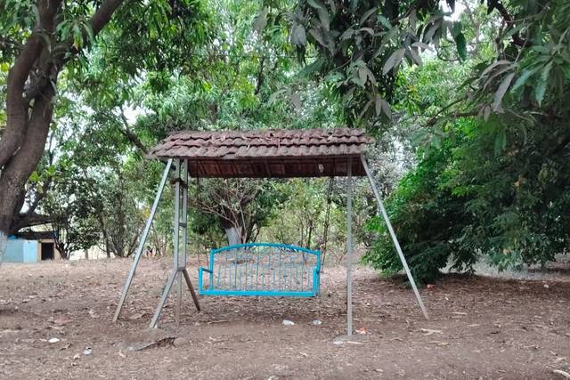 Lawn area