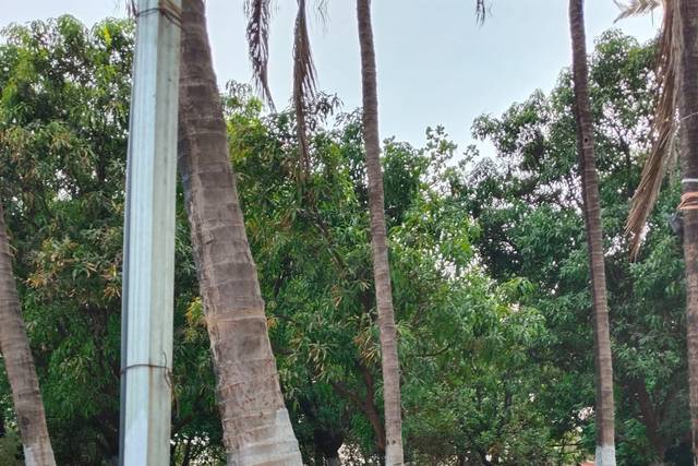 Lawn area