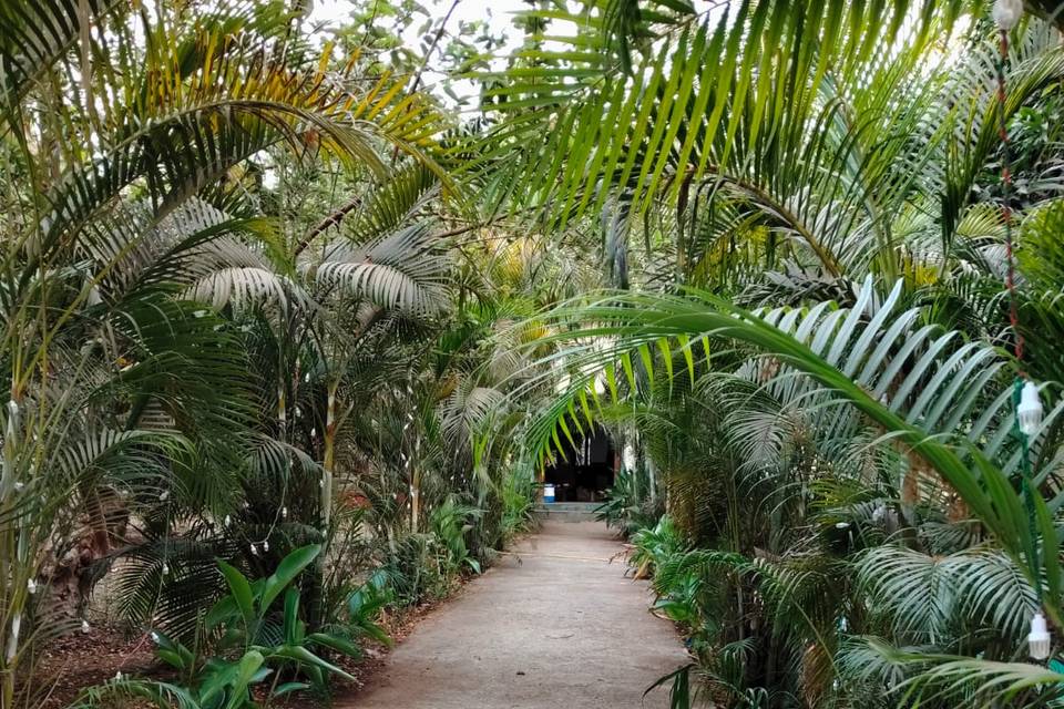 Passage
