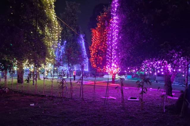 Lawn area