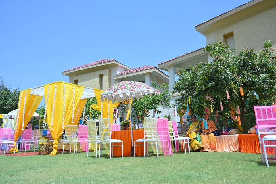 Haldi setup