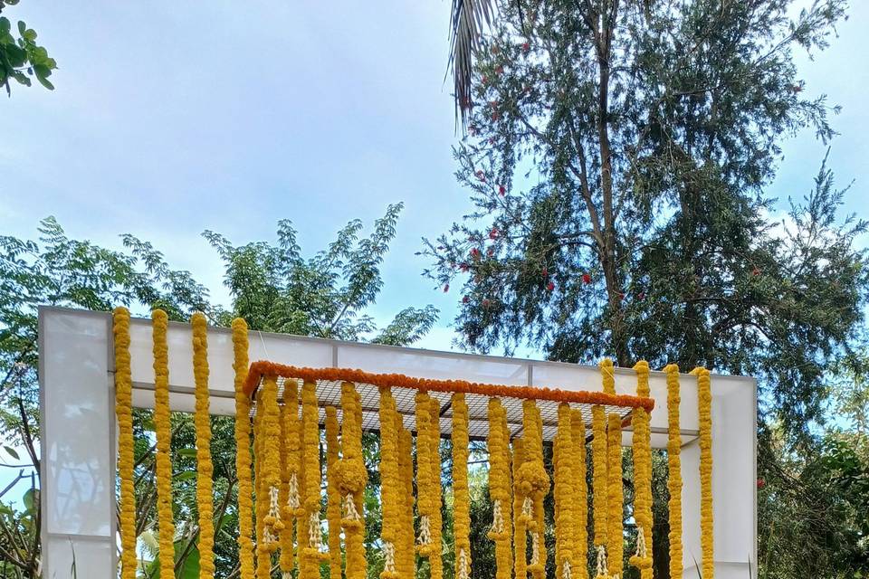 Haldi