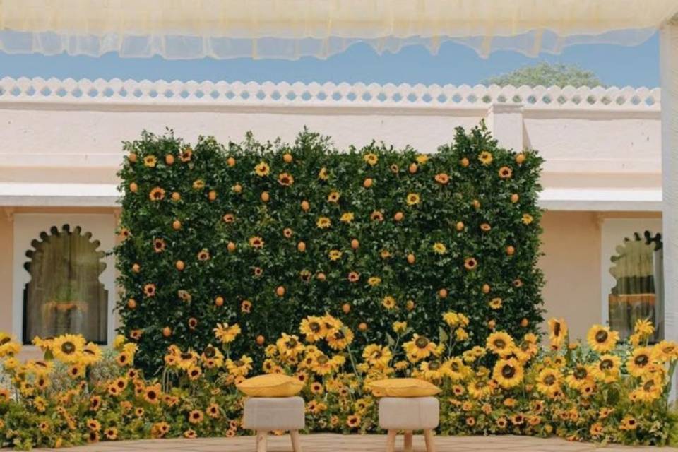 Haldi