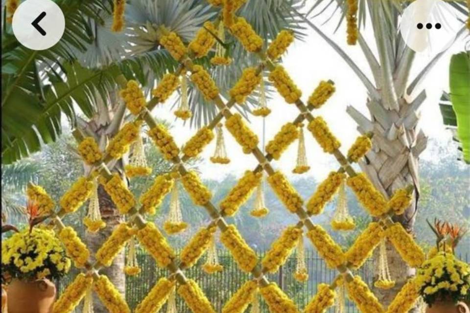Decor