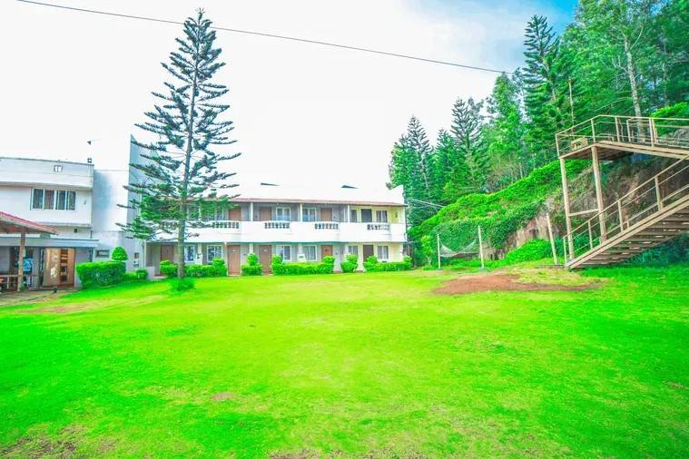 Lawn area