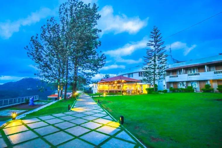 Lawn area