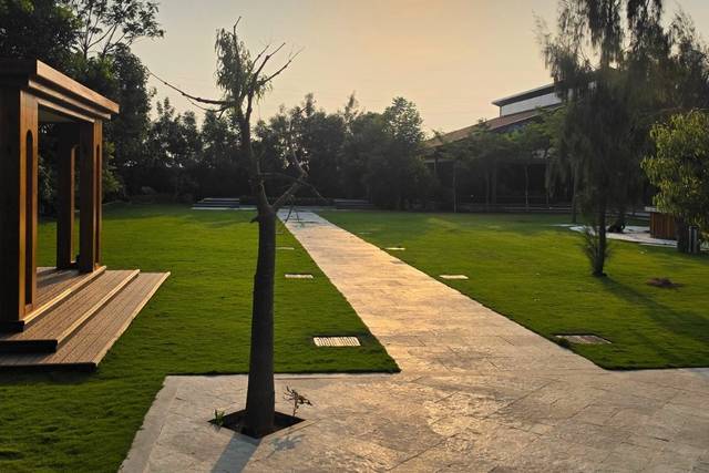 Lawn area