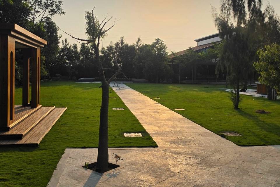 Lawn area