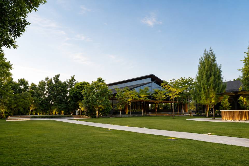 Lawn Area