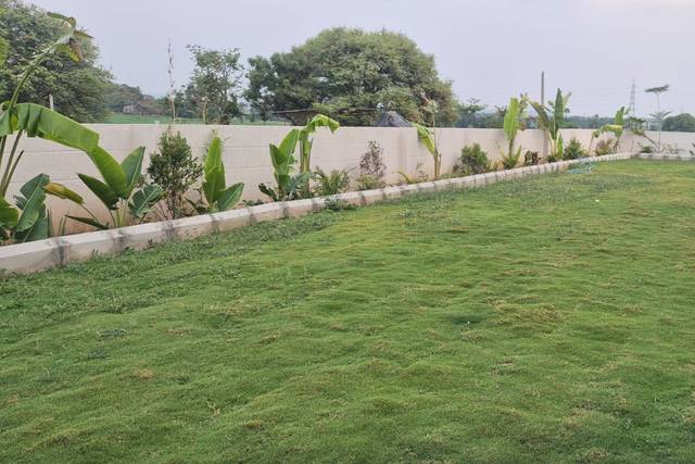 Lawn area