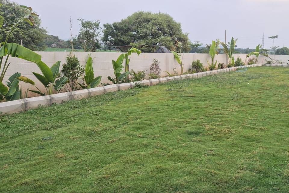 Lawn area