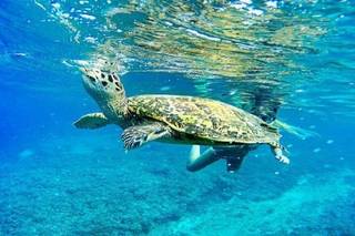 World Holiday Online