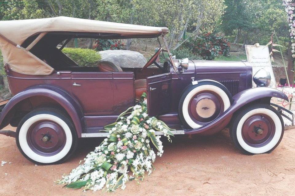 Sweet Purple Vintage Car