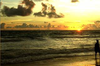 Joyful Travel Experience