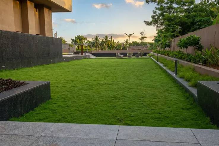 Lawn area
