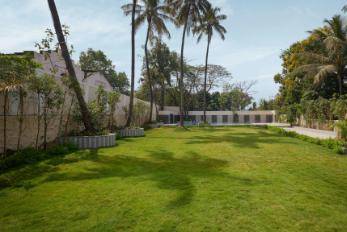 Lawn area