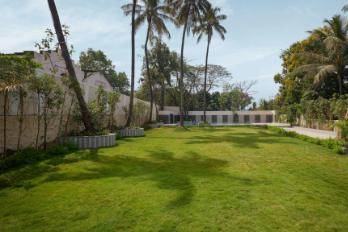Lawn area
