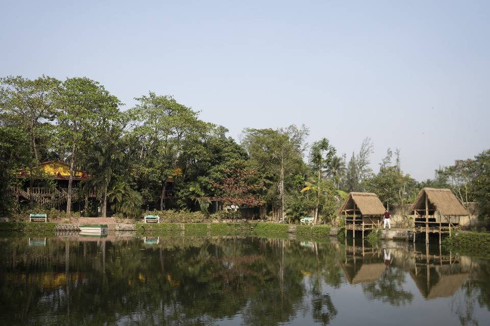 Lake view