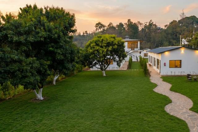 Lawn area