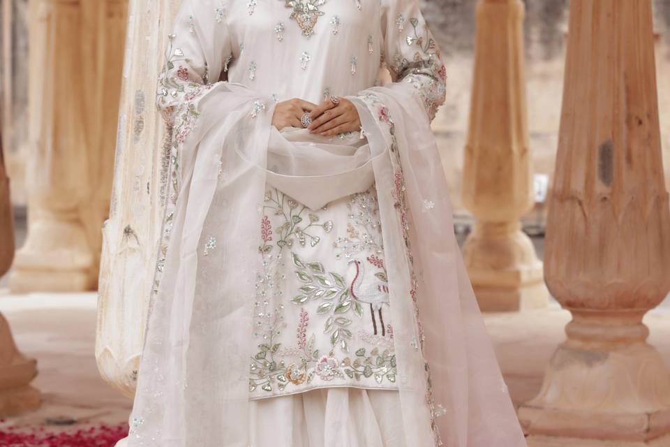 Latest collection 2026