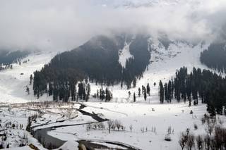 Green Kashmir Travels