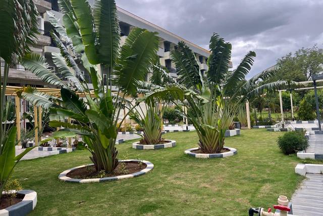 Lawn Area