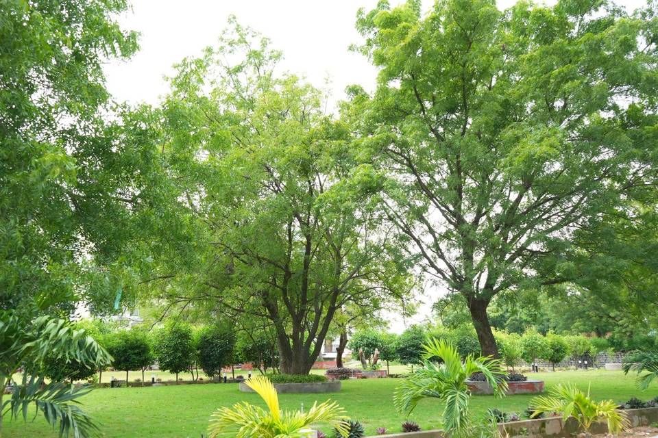 Lawn area