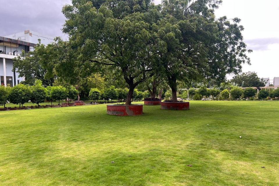 Lawn area