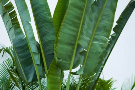 Screenshot 2025-01-28 132557