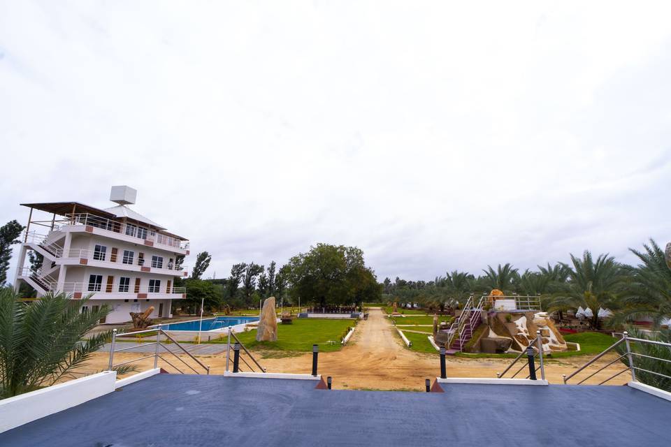 Lawn area