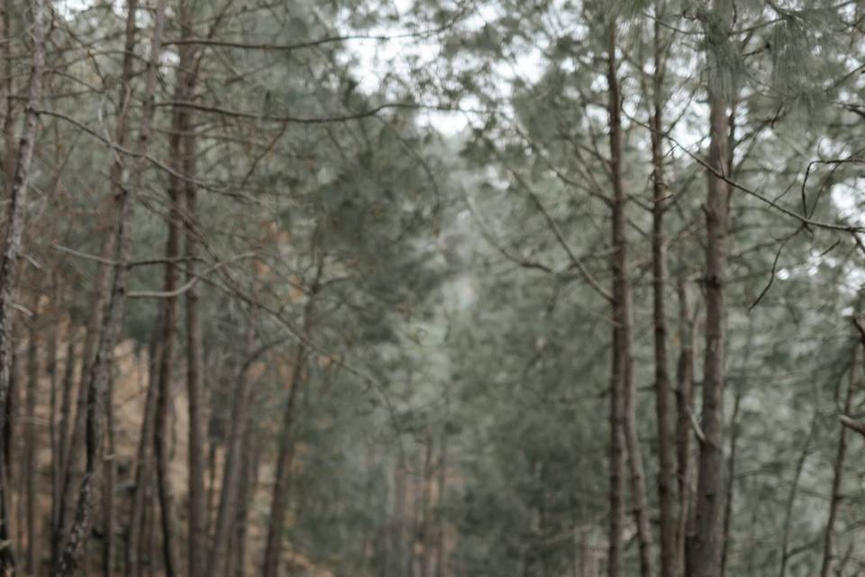 Wedding photography