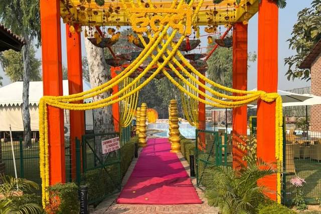 Haldi decor