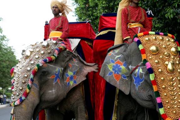 Royal Shaadi Wedding Planner