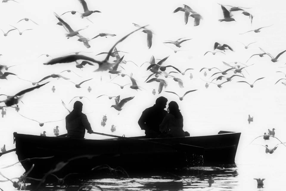 The Everblue Hues Photography