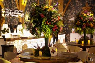 Avani Events